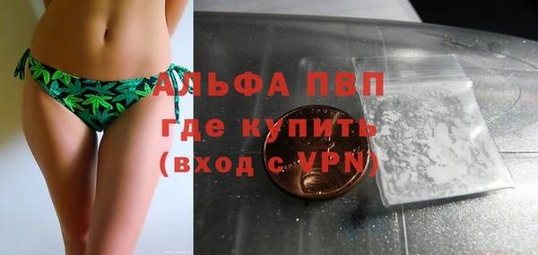 винт Арсеньев