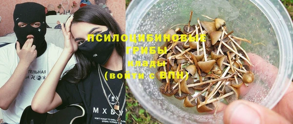 винт Арсеньев