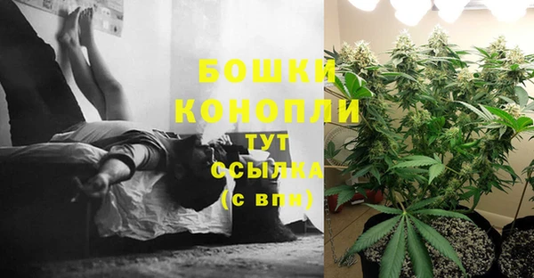 ГАЛЛЮЦИНОГЕННЫЕ ГРИБЫ Саяногорск