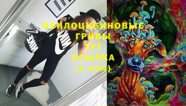 дурь Сатка