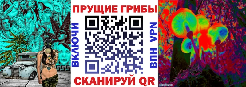 как найти   Саров  Псилоцибиновые грибы прущие грибы 