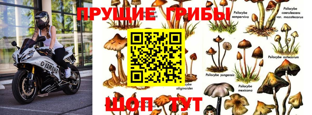 Псилоцибиновые грибы мухоморы  Вход с VPN  Саров  Галлюциногенные грибы ЛСД 