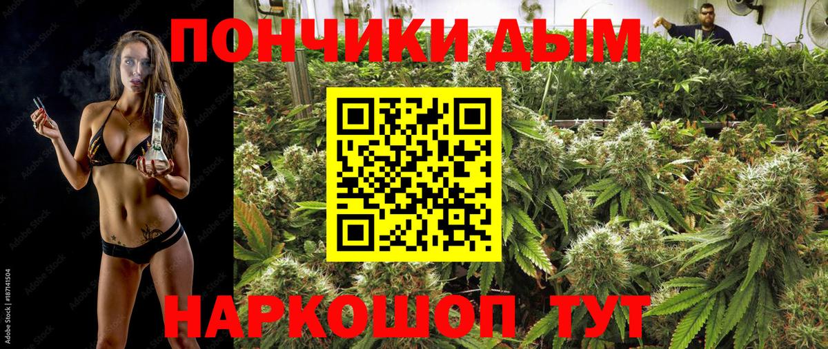 Марихуана планчик  Канабис семена  Саров  Вход с VPN  Бошки Шишки индика 